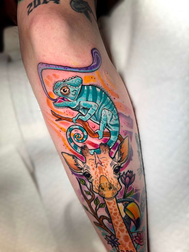 Color 3